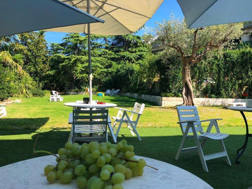 Ascoli Bonjour B&B & Apartments Parcheggio Privato & Giardino 阿斯科利皮切诺 外观 照片